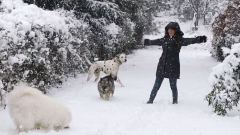 A woman with her arms outstretched playing with three dogs on a snowy path